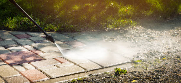 Best Animal Enclosure Cleaning  in Milton, WA
